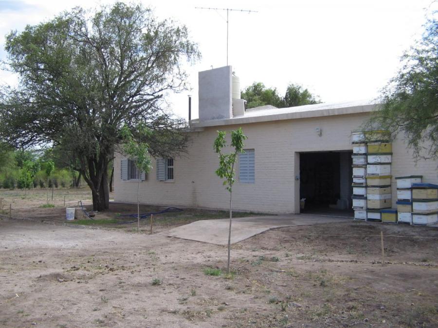 Foto Campo en Venta en Los Chañaritos, Córdoba - U$D 55.000 - CPV117976 - BienesOnLine