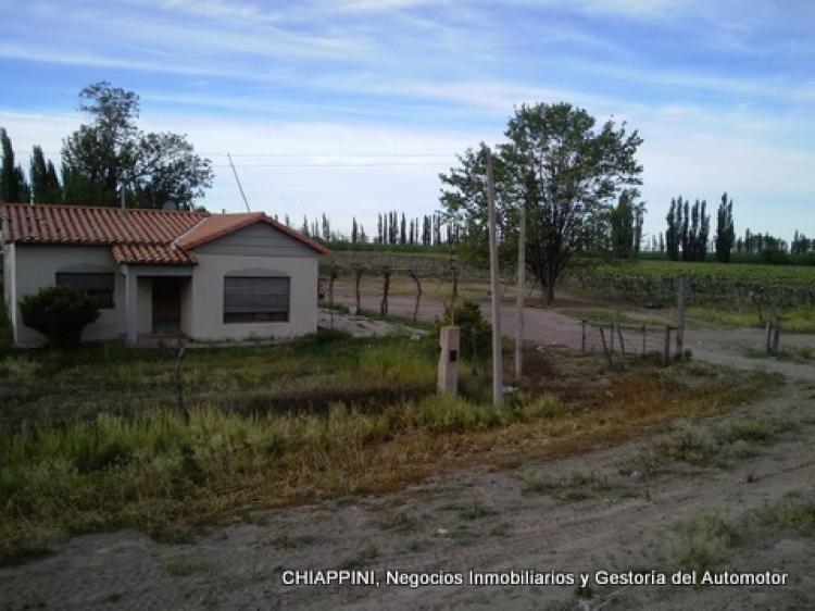 Finca de 60 Has. en San Rafael - Mendoza