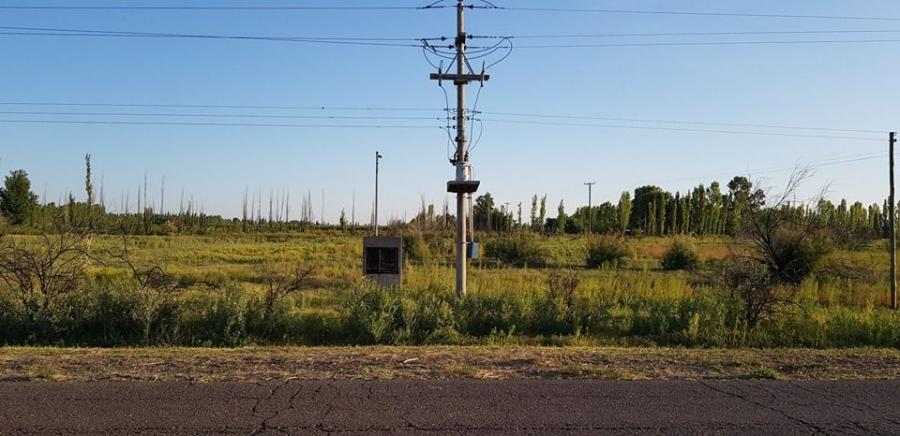 VENDO FINCA EN SAN RAFAEL - MENDOZA