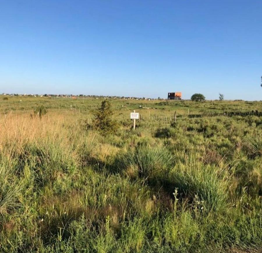 VENDO LOTE de TERRENO en el Divisadero a 300 metros de la ruta principal con diversas vistas