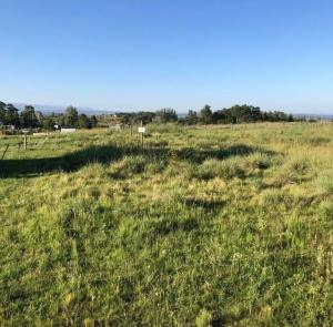 VENDO LOTE de Terreno en el Divisadero, Villa Yacanto de Calamuchita Cordoba