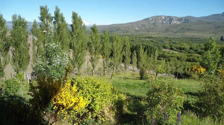 vendo propriedad con casa y cabaña junin de los andes