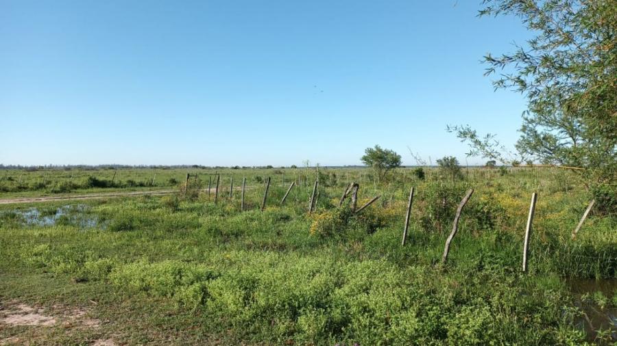 Foto Campo en Venta en Empedrado, Corrientes - 4000 hectareas - U$D 1.700 - CPV118523 - BienesOnLine