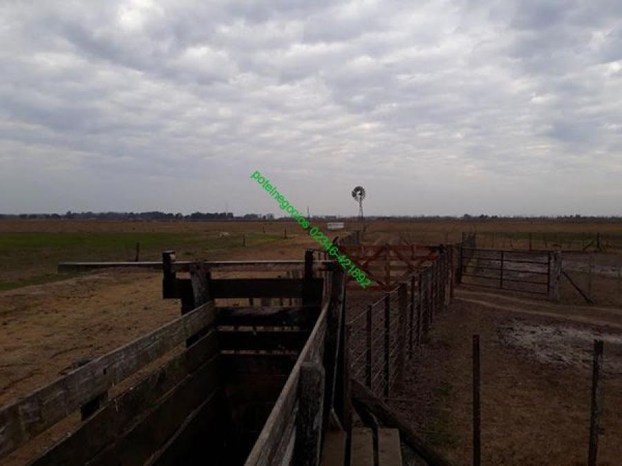 Venta campo Bragado 