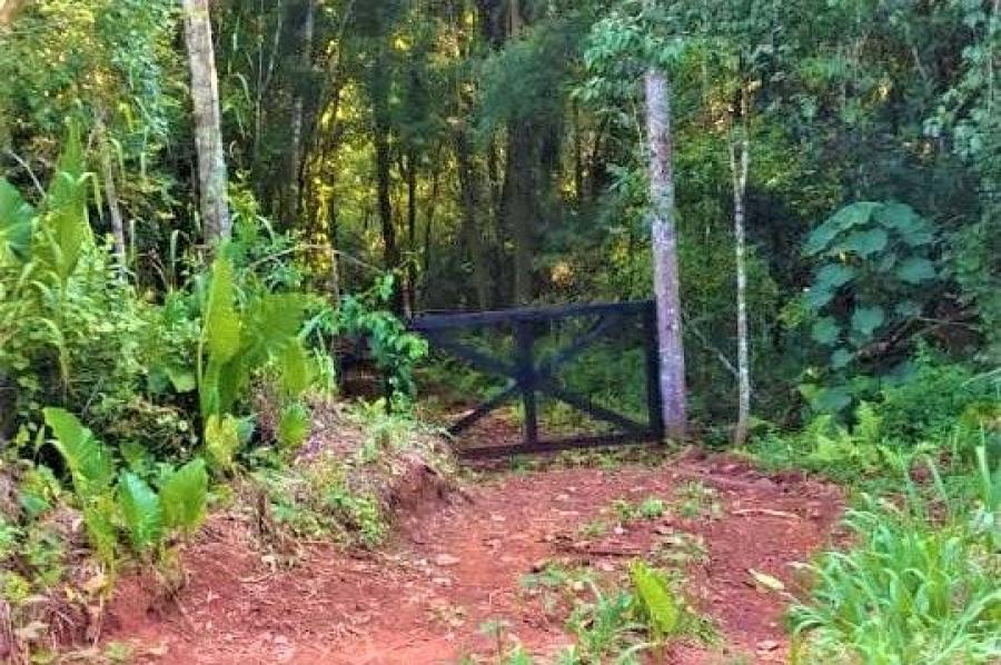 Foto Campo en Venta en El Dorado, Misiones - 1 hectareas - U$D 10.000 - CPV117814 - BienesOnLine