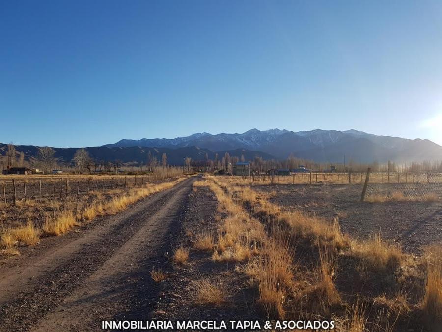 VENTA DE LOTE EN SAN ALBERTO, LAS HERAS USPALLATA, MENDOZA ARGENTINA.