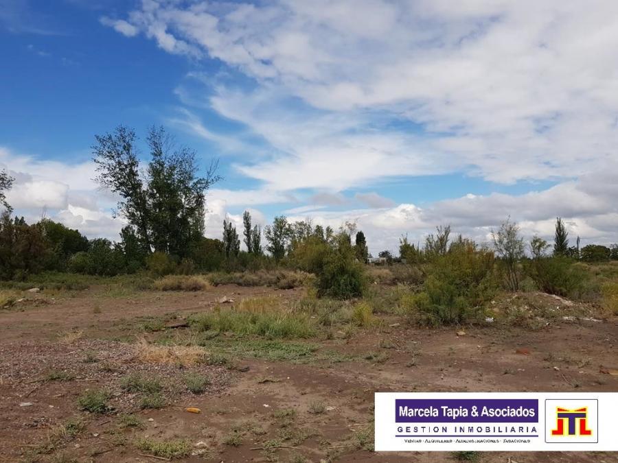 Foto Terreno en Venta en Junín, Mendoza - $ 1.654.650 - TEV108963 - BienesOnLine