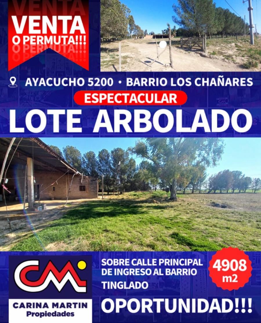 Foto Campo en Venta en Los chañares, Bahia Blanca, Buenos Aires - 50 hectareas - U$D 60.000 - CPV118029 - BienesOnLine