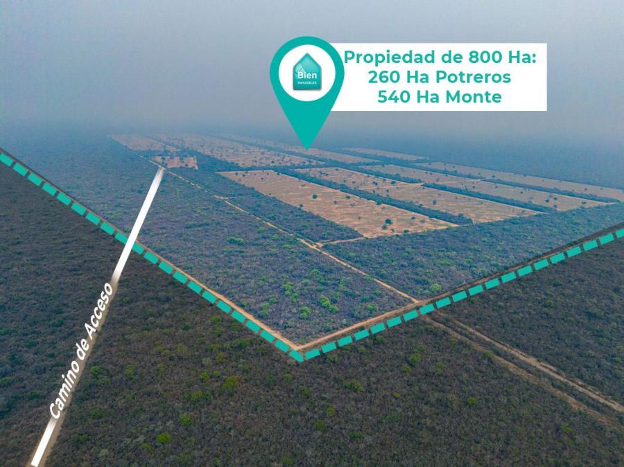 Foto Campo en Venta en Pailón, Santa Cruz - U$D 1.671.200 - CPV8028 - BienesOnLine