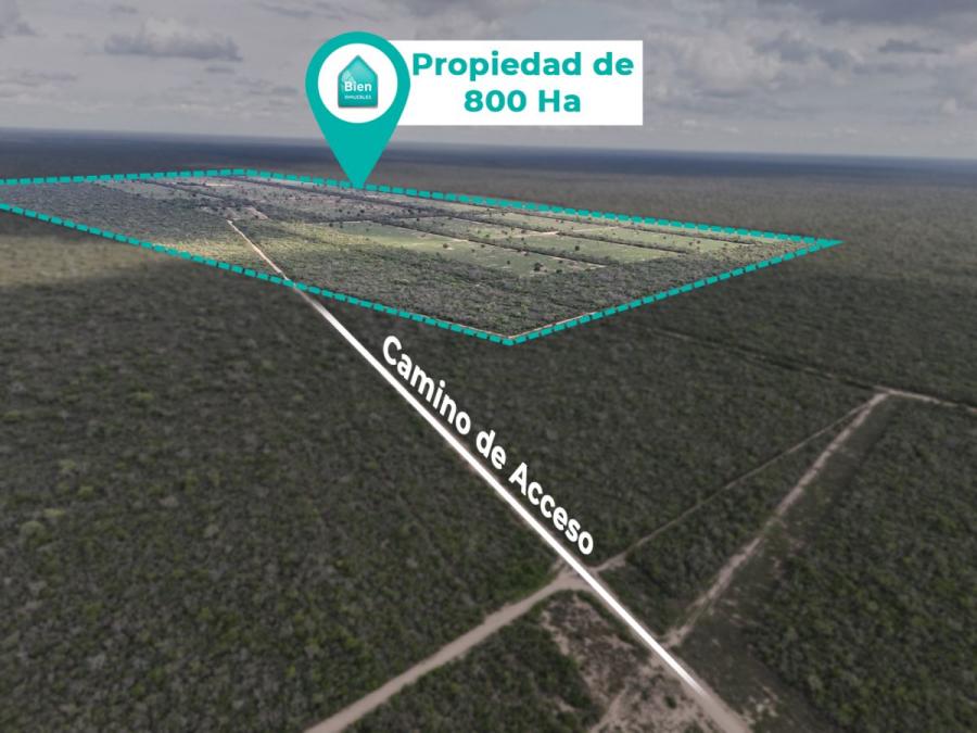 Campo en Venta en  Pailón, Santa Cruz