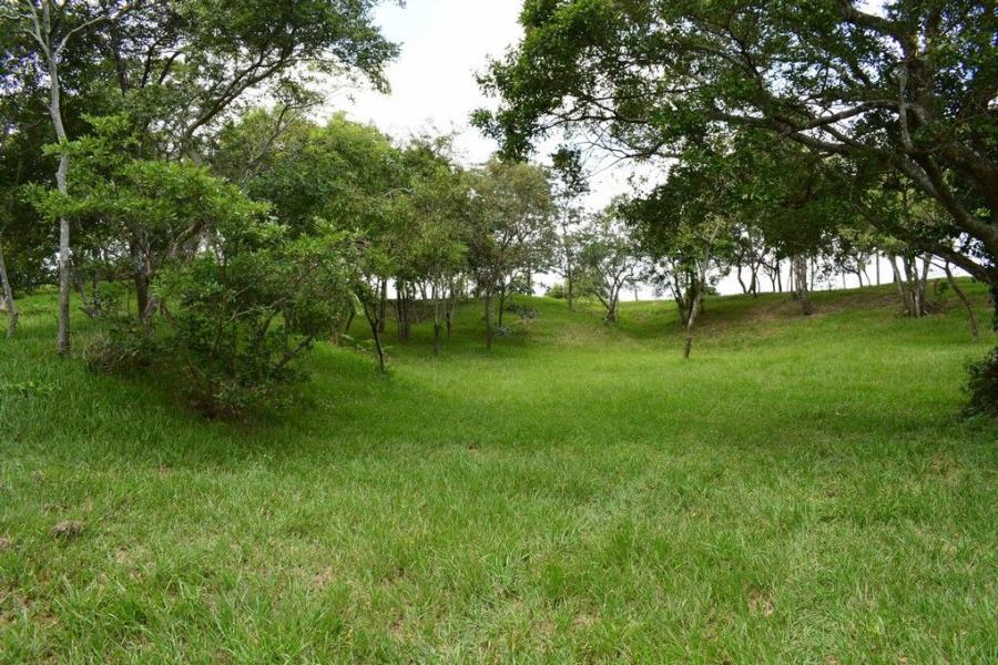 Terreno en Venta en Urubó, Porongo Santa Cruz de la Sierra, Santa Cruz