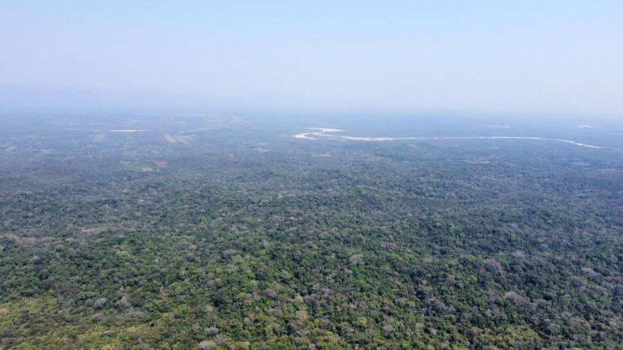 Propiedad a 7 km de Buena Vista 33 hectareas