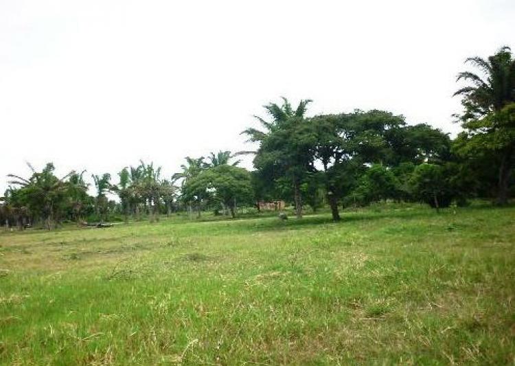 Foto Terreno en Venta en Okinawa, Santa Cruz - U$D 1.650.000 - TEV1308 - BienesOnLine