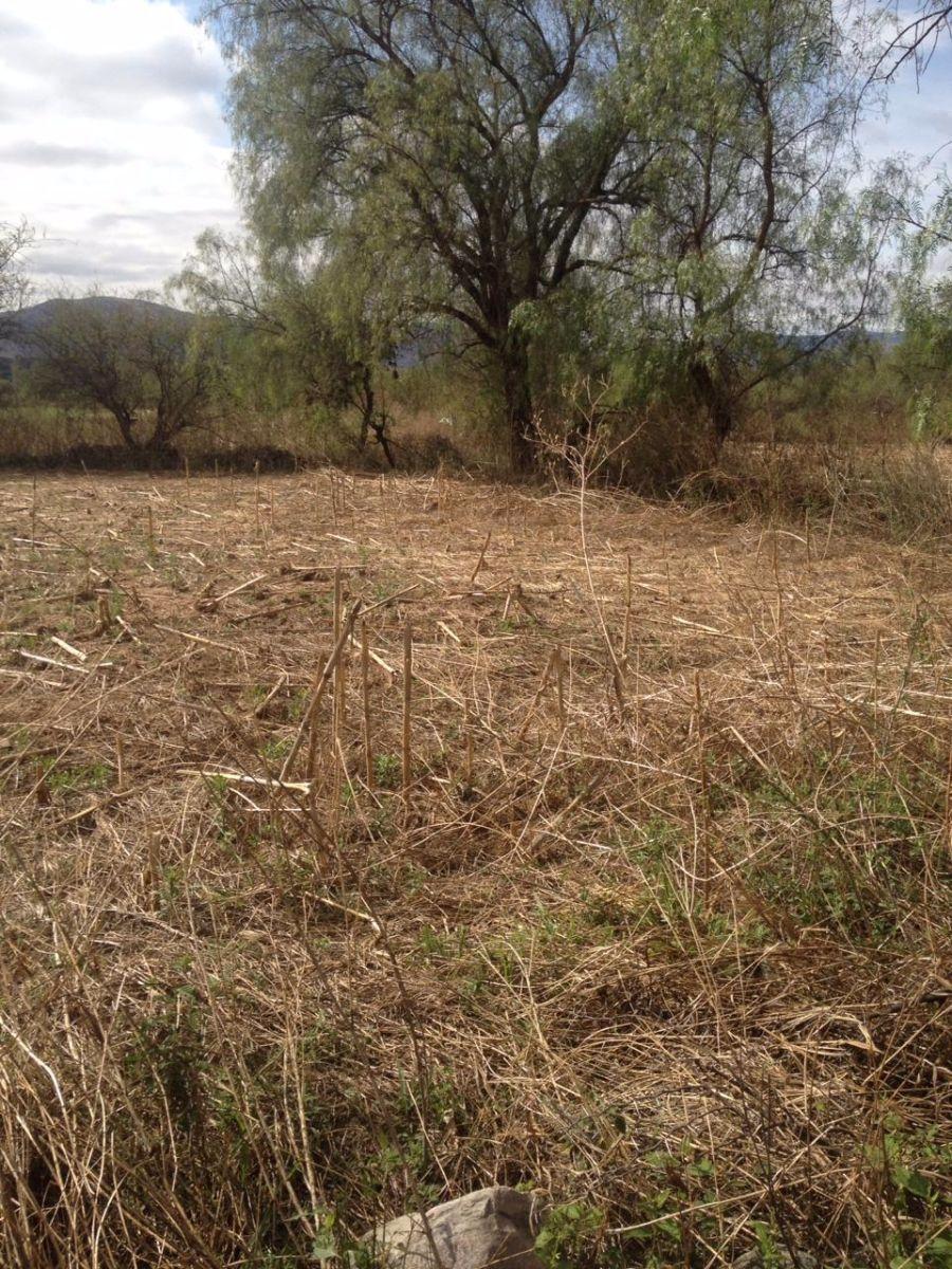 Foto Terreno en Venta en Cantón lazareto, Guerrahuayco, Tarija - U$D 20.000 - TEV3843 - BienesOnLine