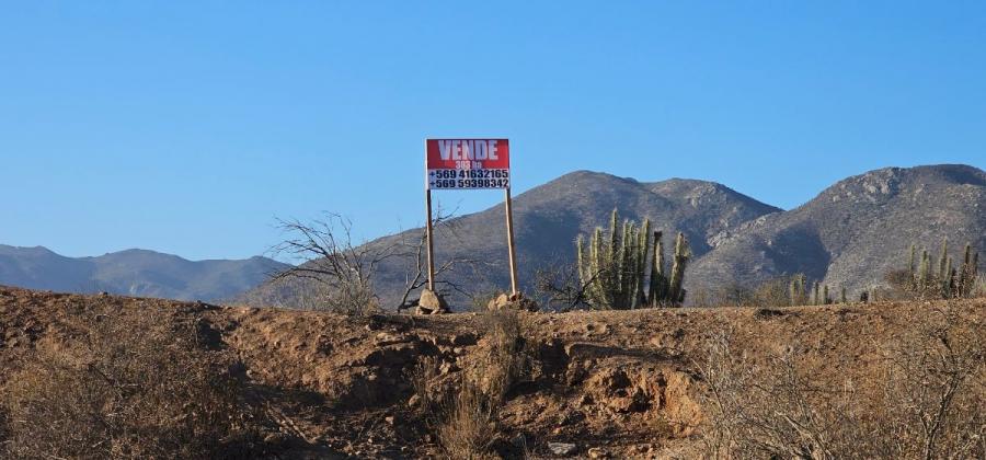 Foto Agricola en Venta en Coquimbo, Limari - 303 hectareas - $ 700.000.000 - AGV150709 - BienesOnLine