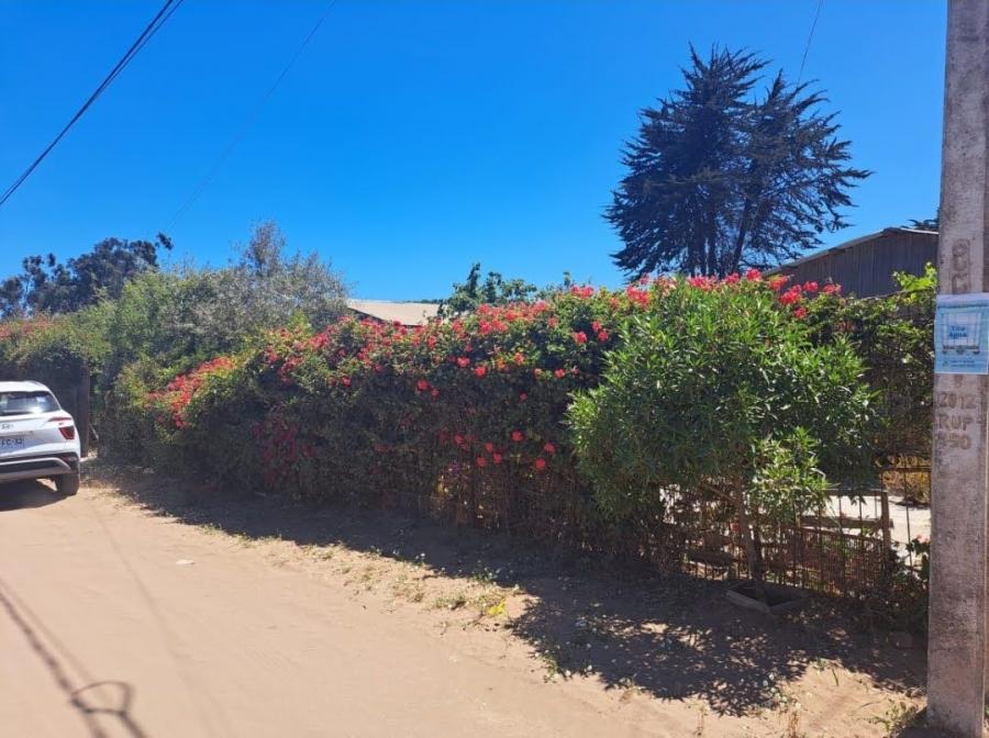 Horcon, 3 casas con patio, jardín y quincho cerca de Caucau 