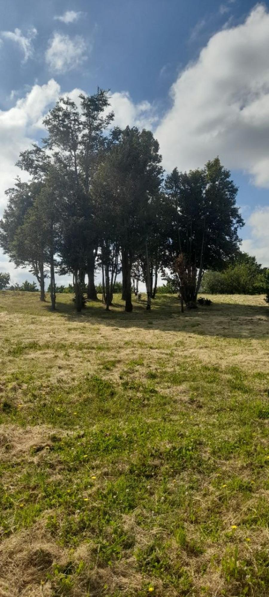 Parcela en Venta en Pichirrupulli Paillaco, Valdivia