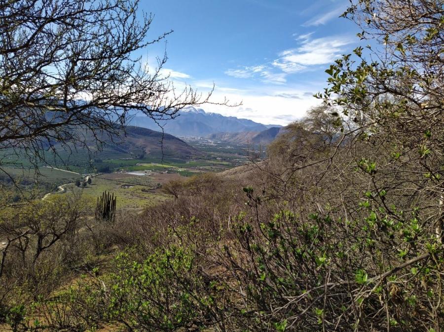 Venta de Parcela de 5000 M² en Hacienda La Cruz, Quillota, V Región.