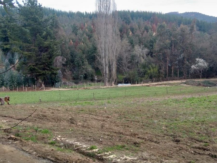 Foto Terreno en Venta en Curicó, Curicó - $ 33.000.000 - TEV151067 - BienesOnLine