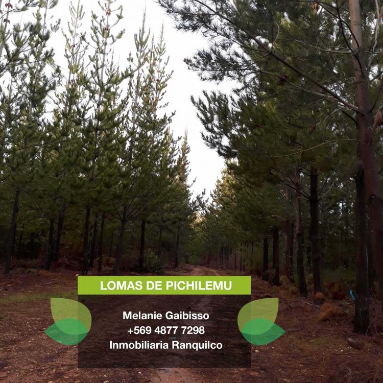 10% DESCUENTO LOMAS DE PICHILEMU