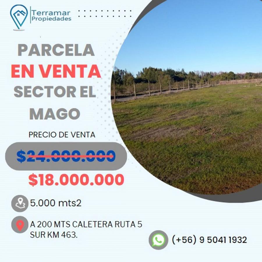 Foto Parcela en Venta en RURAL / NO AGRICOLA, MONTE  AGUILA, Biobio - 1 hectareas - $ 18.000.000 - PAV147793 - BienesOnLine