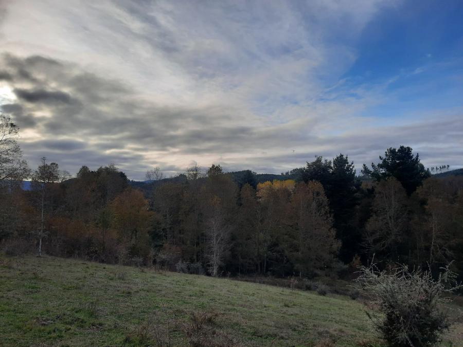 Terreno en Arriendo en guacamapu San Juan De La Costa, Osorno