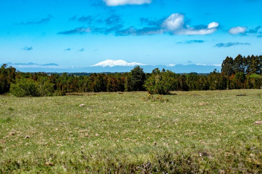 Foto Agricola en Venta en Ilque, Llanquihue - $ 750.000.000 - AGV152299 - BienesOnLine