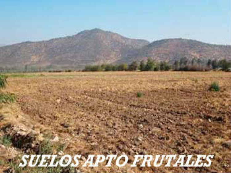 Foto Agricola en Venta en Rancagua, Cachapoal - $ 100 - AGV47044 - BienesOnLine