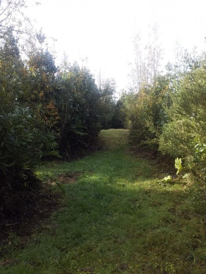 Foto Terreno en Venta en Valdivia, Chancoyan, Valdivia - $ 39.000.000 - TEV94020 - BienesOnLine