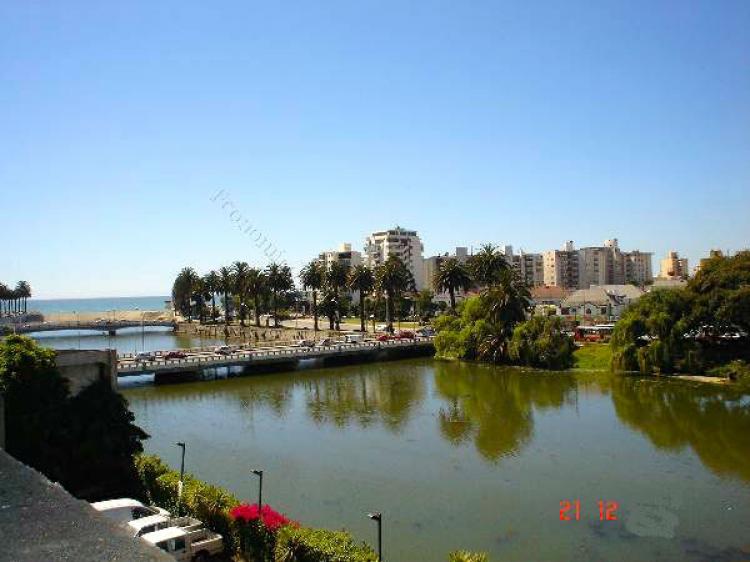 Foto Departamento en Venta en Viña del Mar, Valparaiso - $ 87.000.000 - DEV59517 - BienesOnLine