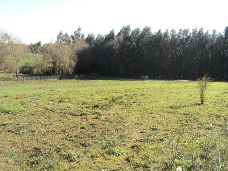 Hermosa parcela en venta de 5000m2 en Huilquilemu sur. Talca