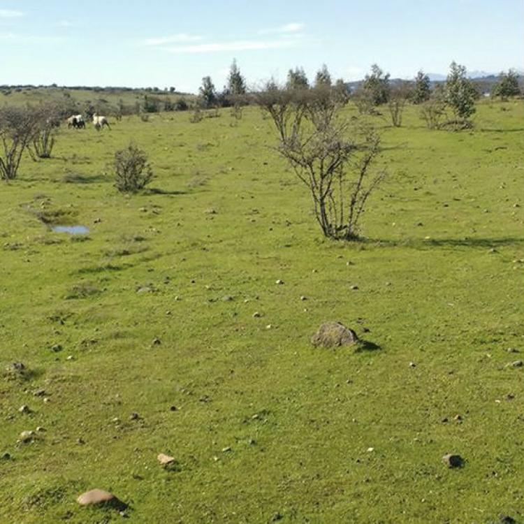 Hermosas Parcelas de agrado 5000 m2