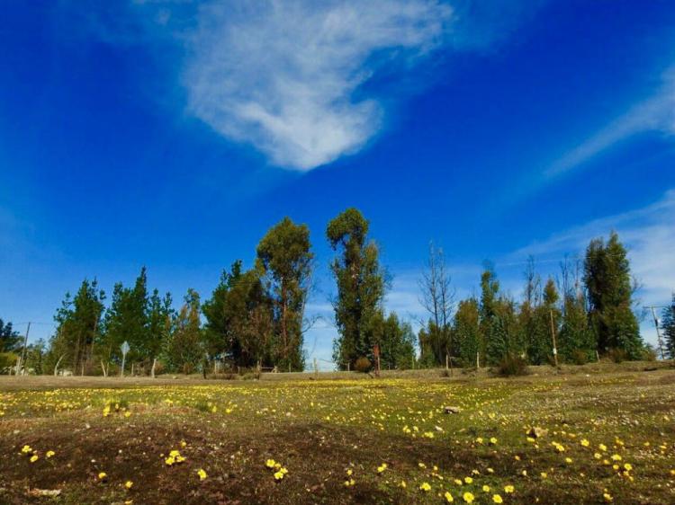 HERMOSAS PARCELAS DE AGRADO EN LITUECHE