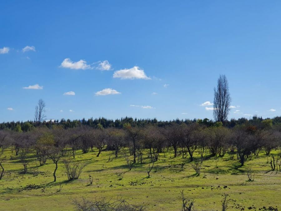 HERMOSAS PARCELAS EN EL CAMPO EN OFERTA