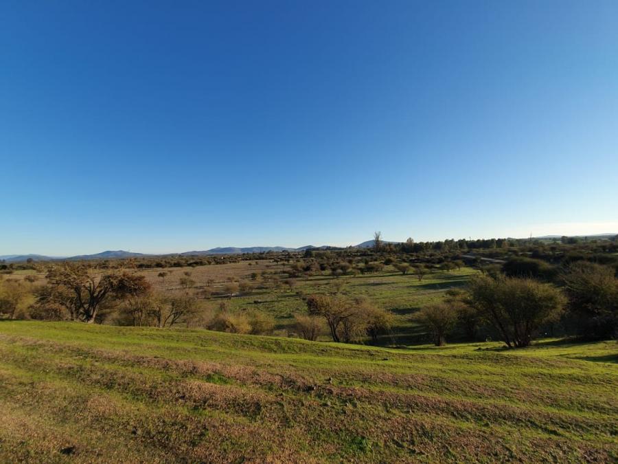 HERMOSAS PARCELAS EN EL CAMPO EN OFERTA