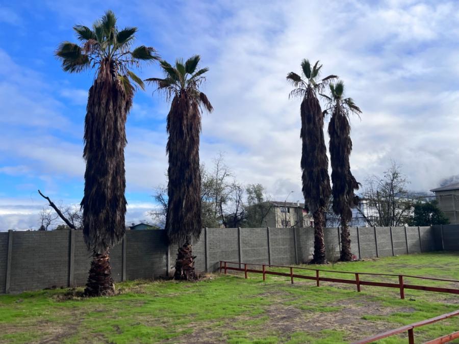 Hermoso Terreno Urbano Centro de Santa María, 350 m