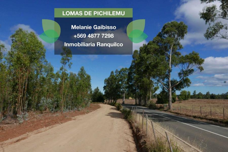 Lomas de Pichilemu a orilla de carretera