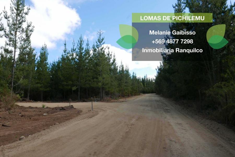 Foto Parcela en Venta en Pichilemu, Cardenal Caro - $ 13.990.000 - PAV87302 - BienesOnLine