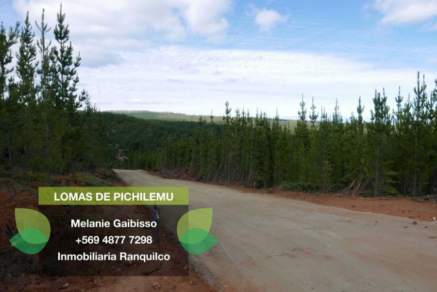 Foto Parcela en Venta en Pichilemu, Cardenal Caro - $ 13.990.000 - PAV87351 - BienesOnLine