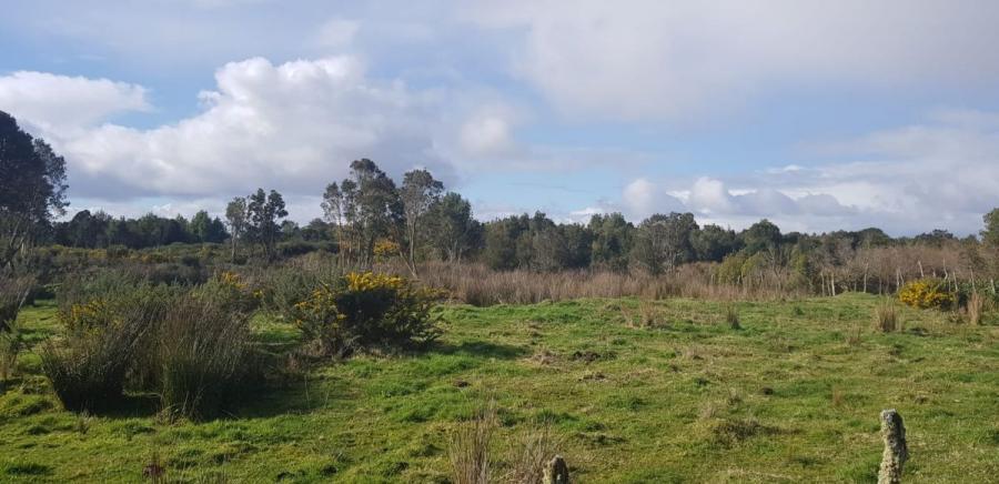 Foto Terreno en Venta en Changue, La Pasada, Llanquihue - 3 hectareas - UFs 1.000 - TEV151892 - BienesOnLine