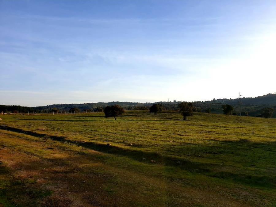 Nuevo Proyecto Parque Eólico