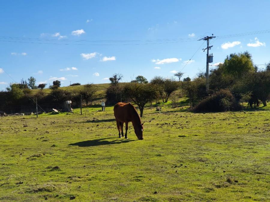 OFERTA!! NUEVO PROYECTO LOS MAITENES