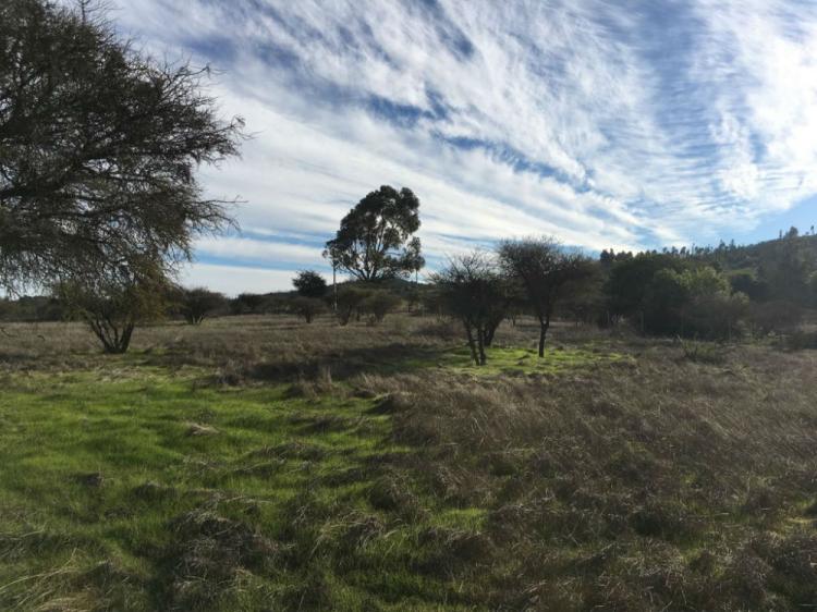 OFERTA PARCELAS EN EL CAMPO