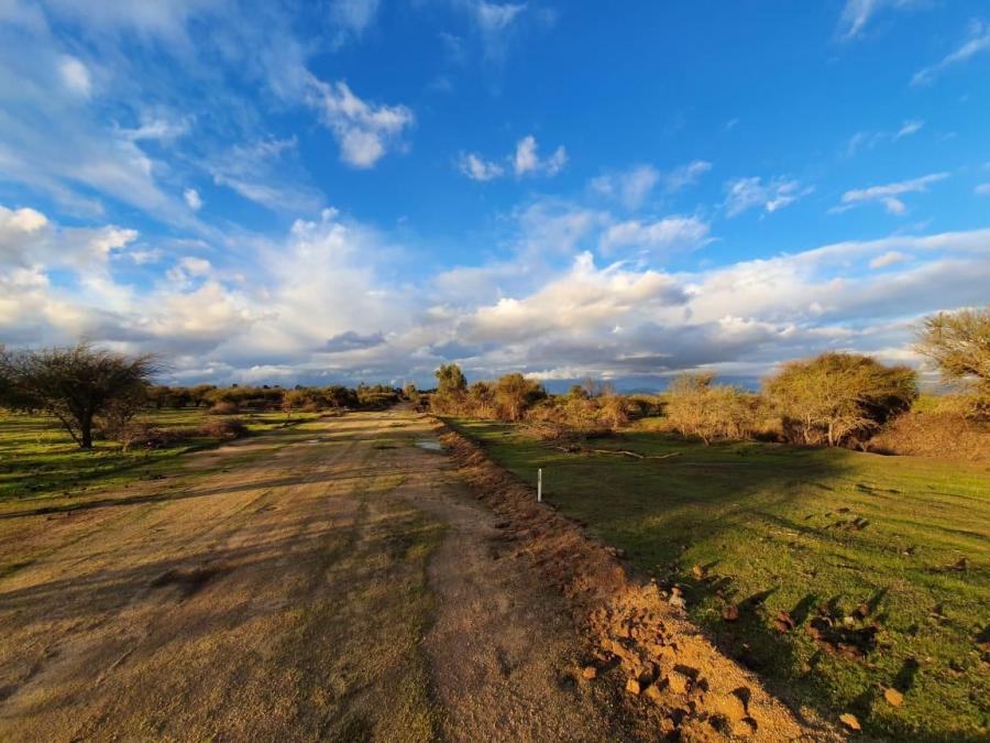 OFERTA PARCELAS EN LA TRANQUILIDAD DEL CAMPO 