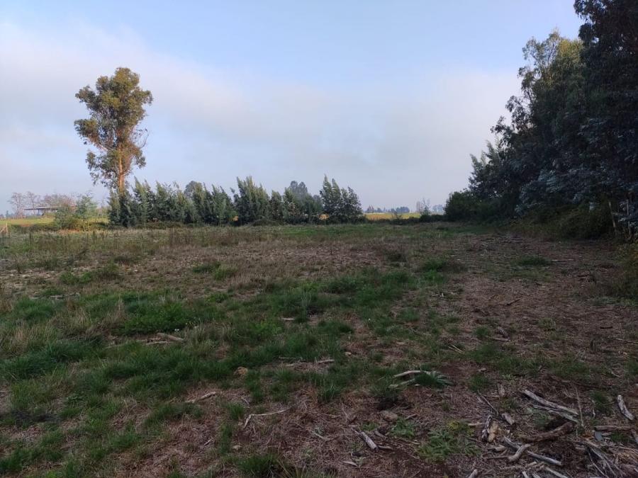 Foto Terreno en Venta en Abránquil, Loteo El Sauces, Calle Caupolicán, Abránquil, Linares - $ 29.000.000 - TEV145266 - BienesOnLine