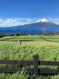 Parcela en Venta en  Puerto Varas