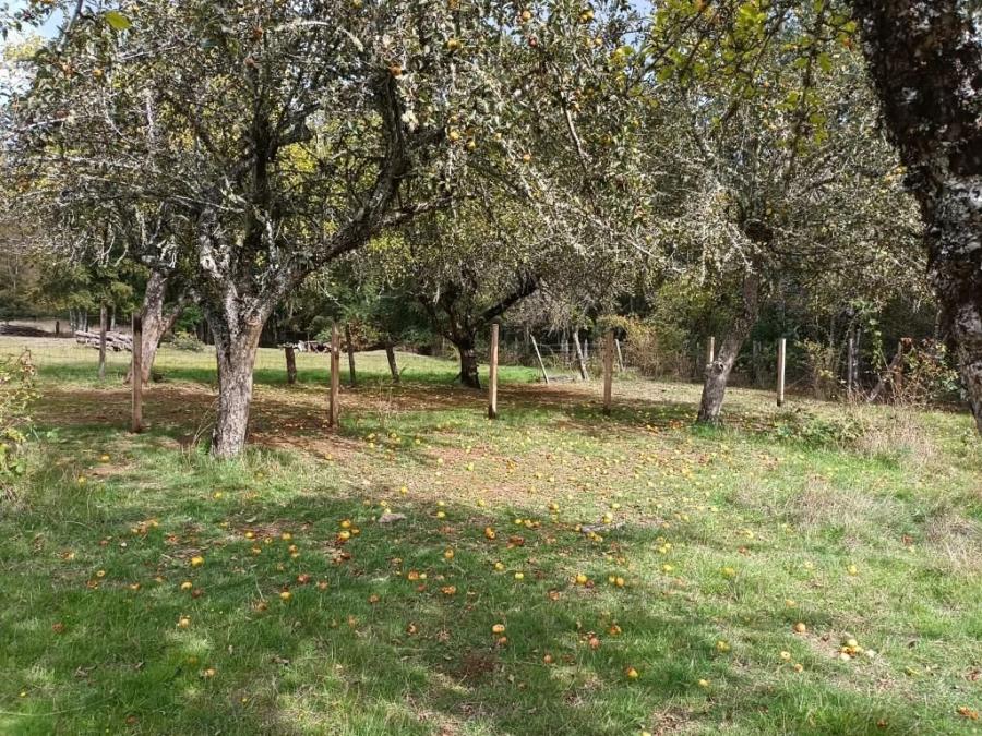 Foto Parcela en Venta en Rural, Liumalla Centro, Cautin - $ 32.000.000 - PAV152159 - BienesOnLine