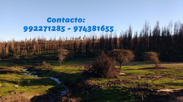 Foto Parcela en Venta en Pichilemu, Cardenal Caro - $ 9.500.000 - PAV67017 - BienesOnLine