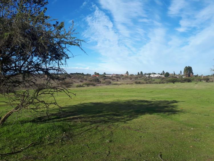 Foto Parcela en Venta en La Estrella, Cardenal Caro - $ 9.990.000 - PAV82821 - BienesOnLine