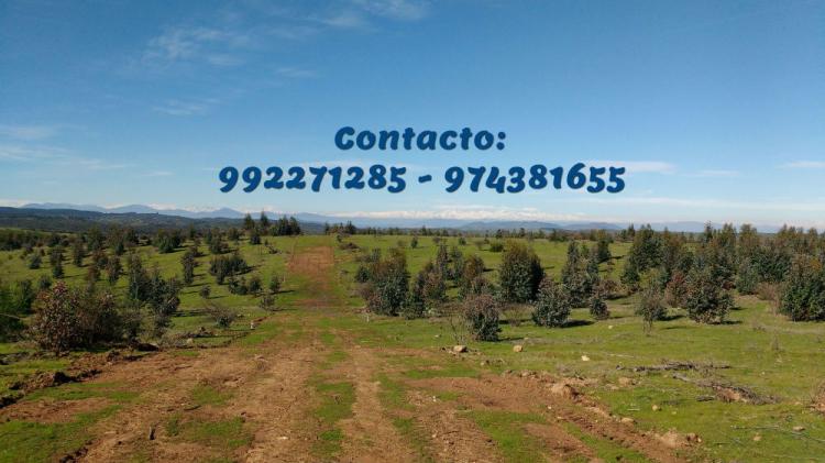 Foto Parcela en Venta en Pichilemu, Cardenal Caro - $ 9.500.000 - PAV66943 - BienesOnLine